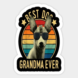 Best Dog Grandma Ever Sticker